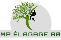 elagage-mp-elagage